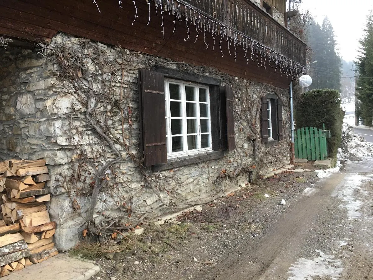 Alpine Apartment Les Gets France