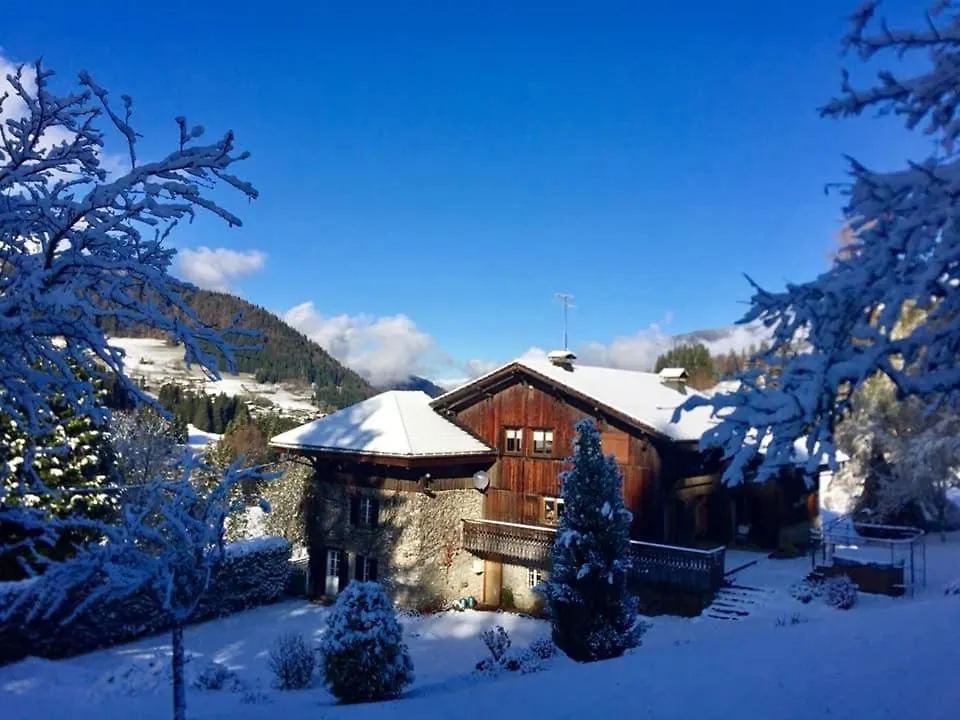 Alpine Apartment Les Gets