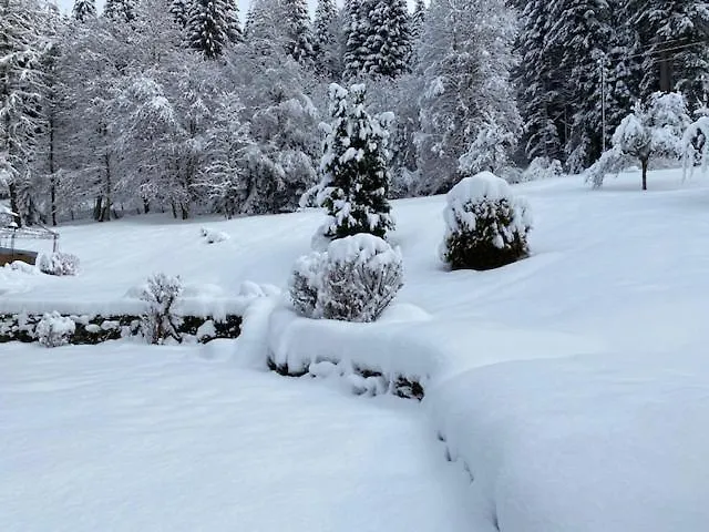 Alpine Apartment Les Gets